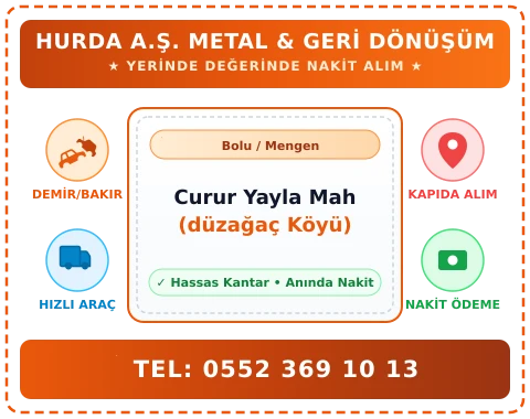 Bolu Mengen Curur Yayla Mah (düzağaç Köyü) Hurda Alım